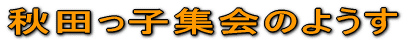 HcqŴ悤